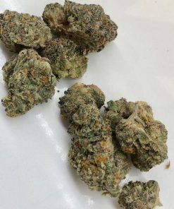 biscotti weed strain for sale