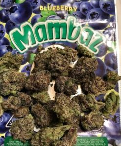 Buy Mambaz exotic marijuan strain online